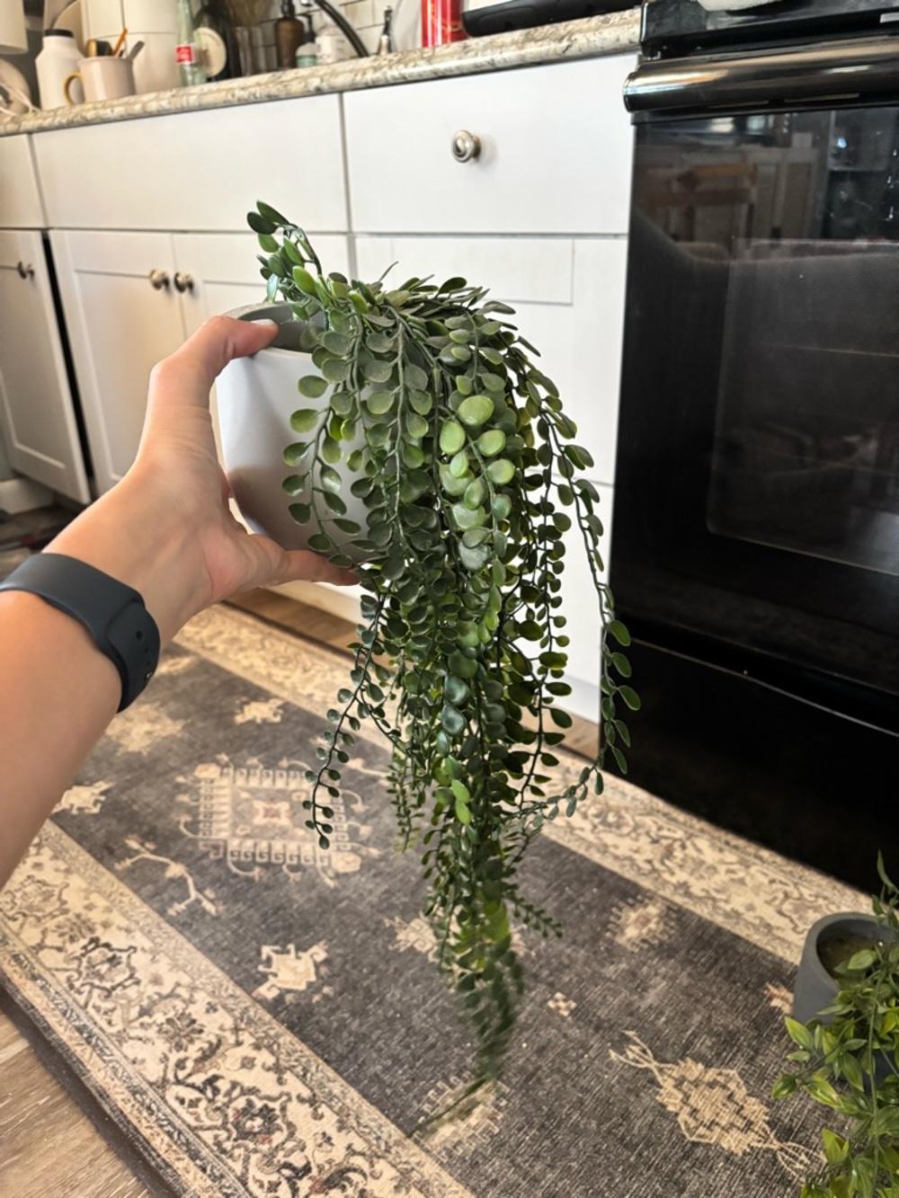 Artificial Vine Hanging Greenery | Set of 3 | Faux Vine Plant - Picture 3 of 6